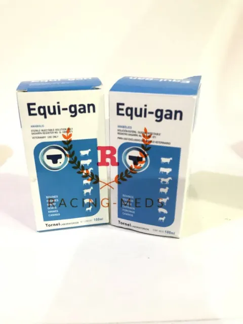 EQUI-GAN